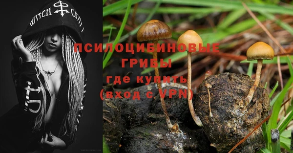 2c-b Белоозёрский